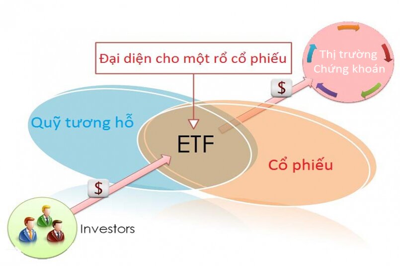 ETF hàng hóa đầu tư và quỹ tương hỗ trợ