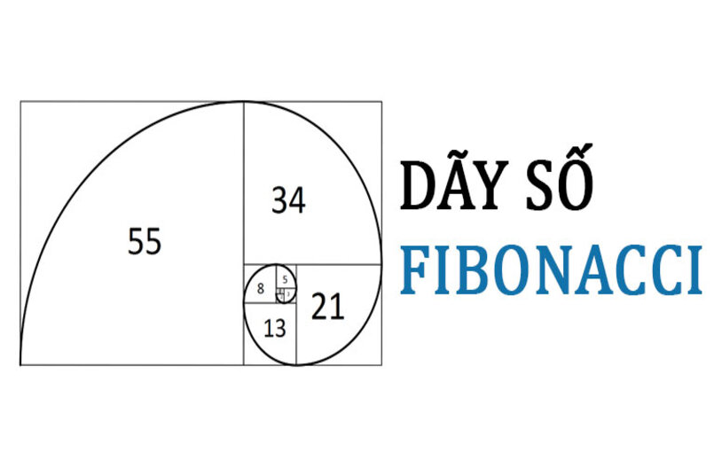 Dãy Fibonacci là gì? Những điều bạn chưa biết về Fibonacci